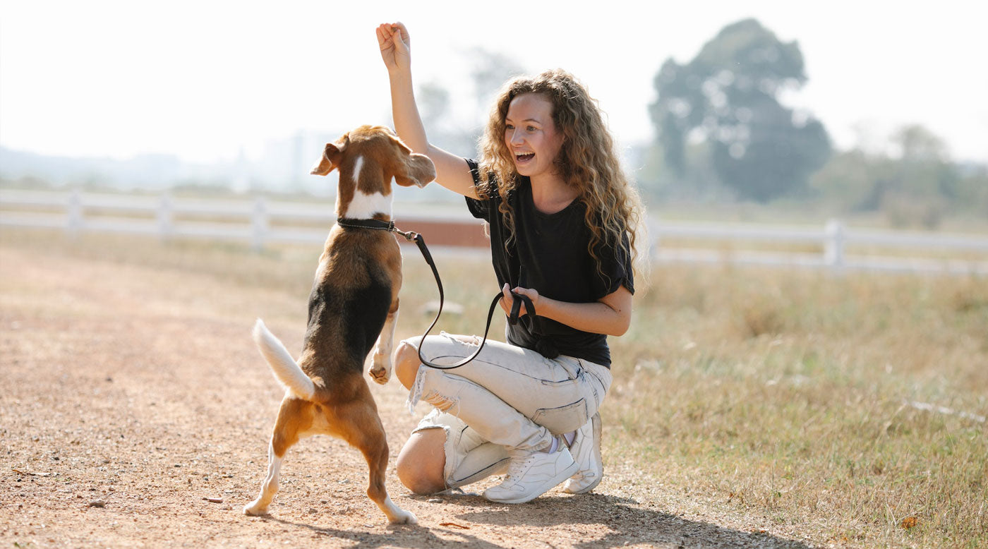 The Science Behind Dog Treats: Understanding the Benefits of Positive Reinforcement
