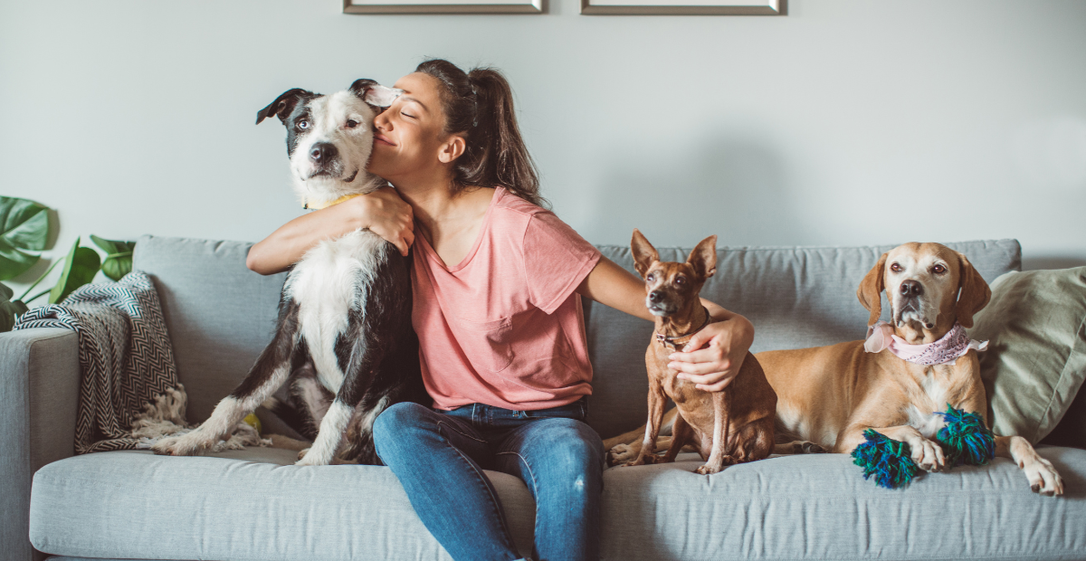 The Benefits of Having Pets: Beyond Companionship