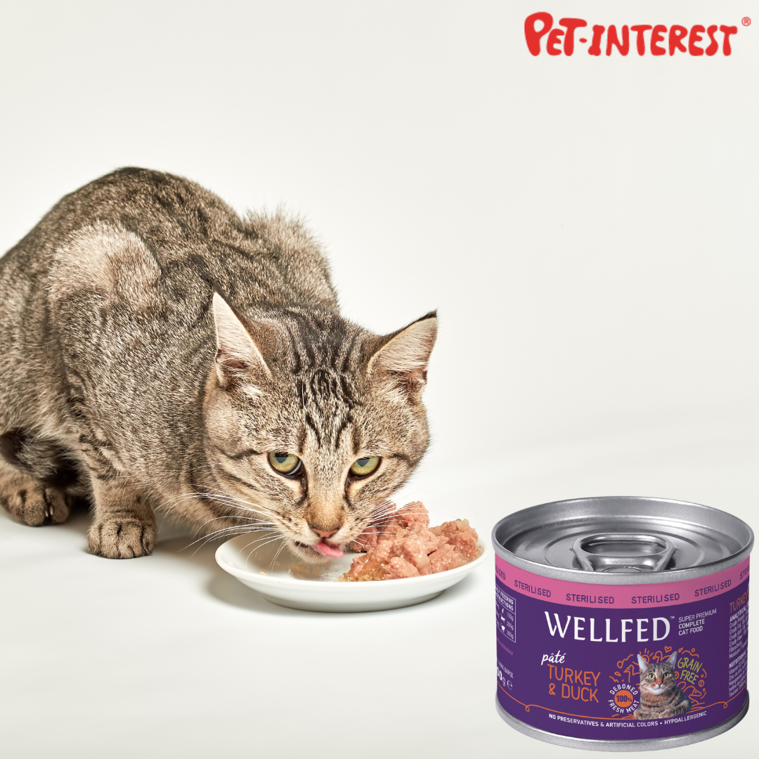 Wellfed Sterilisiertes Nassfutter für Katzen, 6er-Pack (6x200gr)