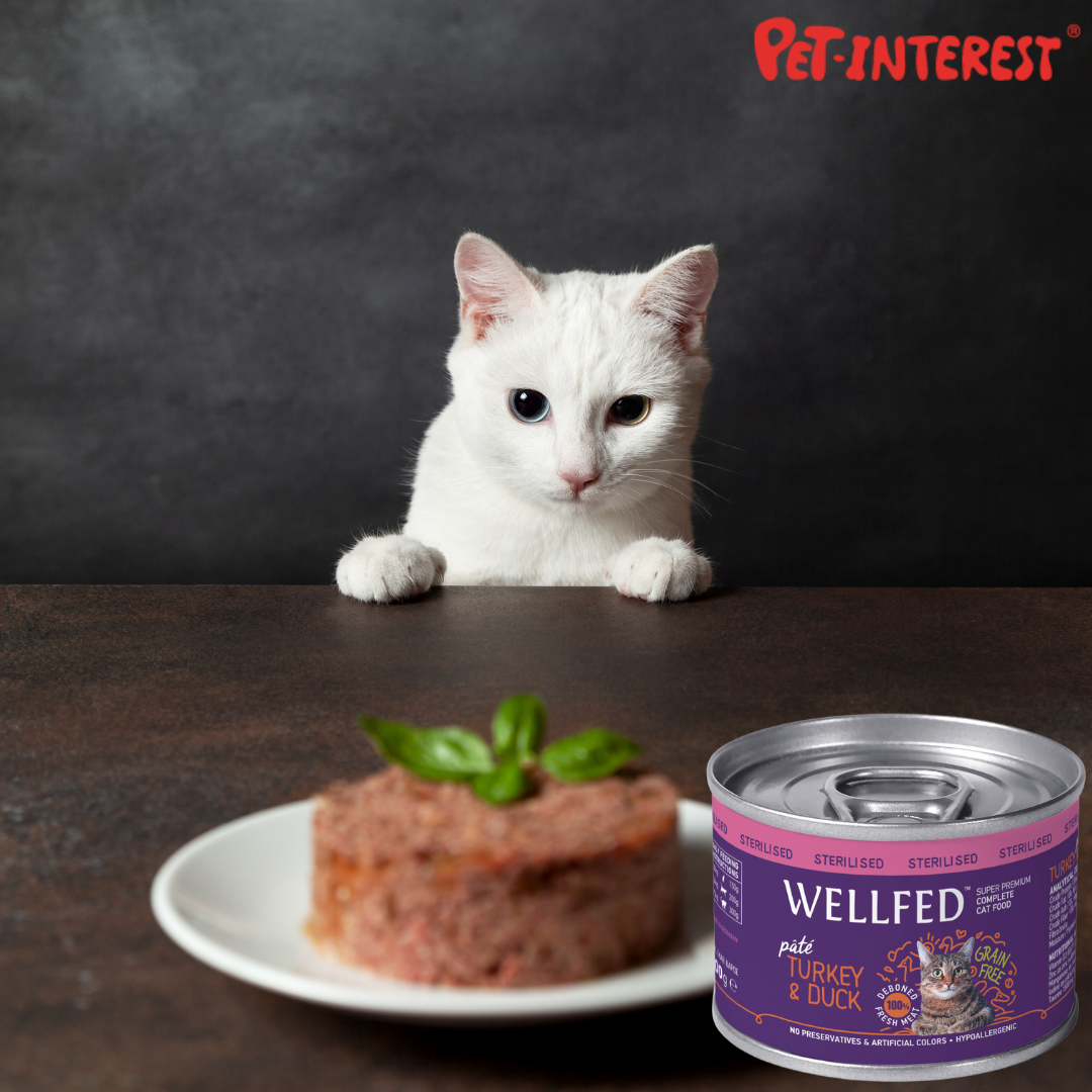 Nourriture humide stérilisée pour chats Wellfed, paquet de 6 (6x200gr)