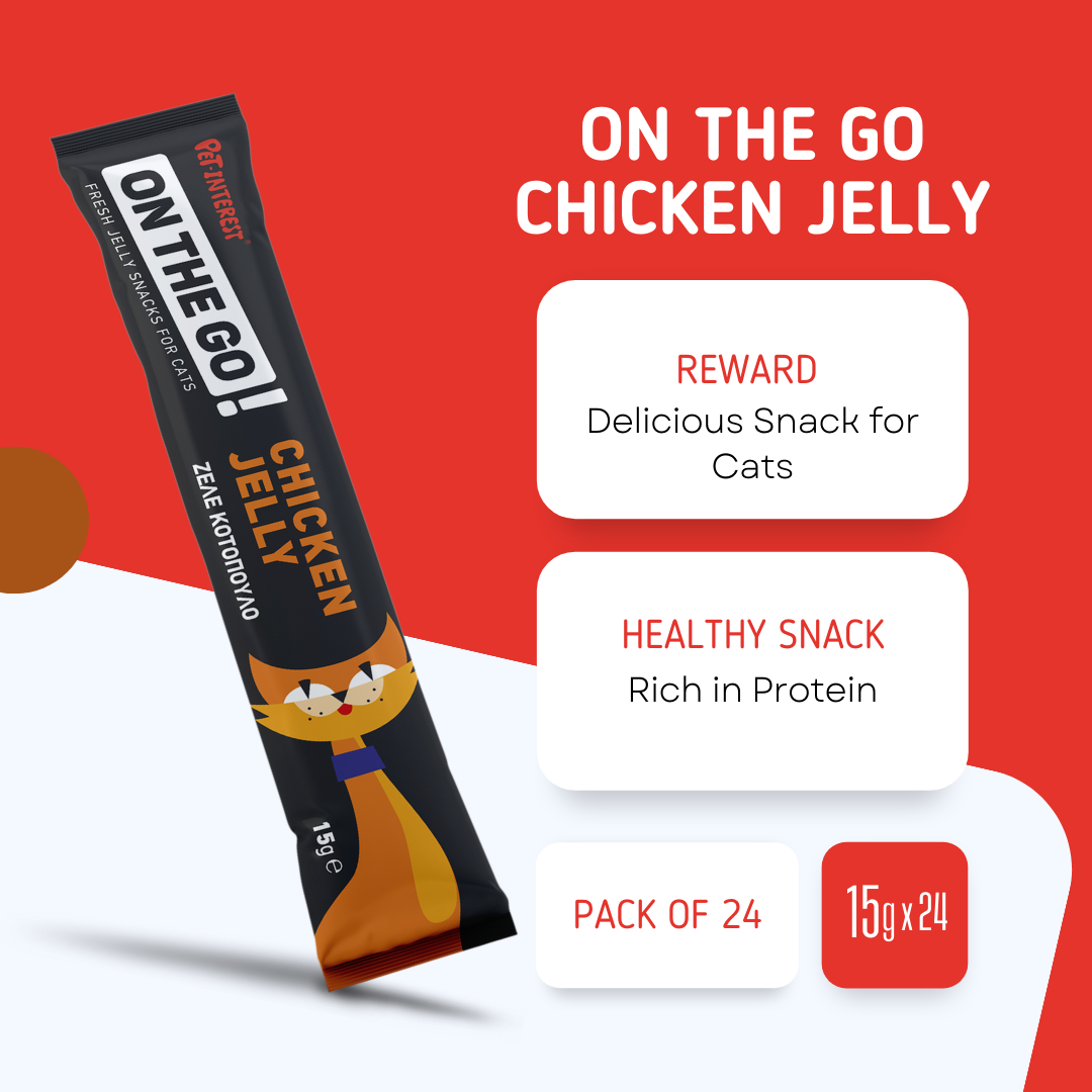 On The Go Chicken Jelly (pack of 24)